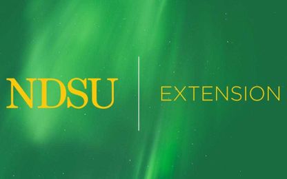 Onions add nutrients, flavor to the menu