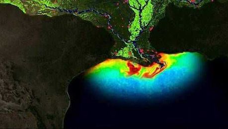 What Is the Gulf of Mexico Dead Zone?