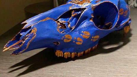 Pretty bones: Conservation biology meets art