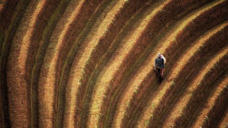 Making Small Farms More Sustainable — and Profitable
