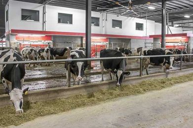 Precision feeding challenges and opportunities