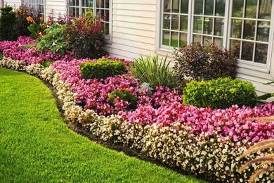 The Benefits of Edging a Lawn