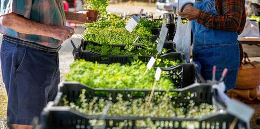 8 Rude Things You Do at the Farmers' Market, According to the Vendors Themselves