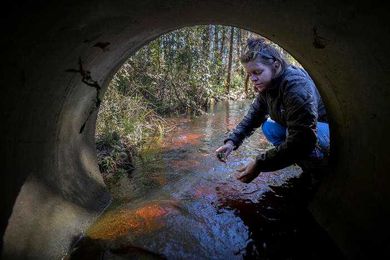 Replacing Septic Systems An Effective But Expensive Way To Cleaner Water