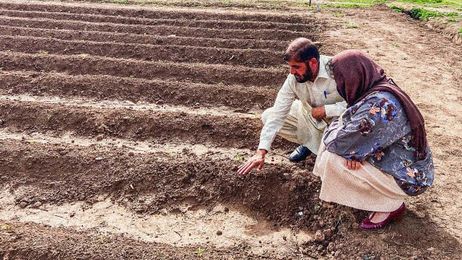 This irrigation system talks to plants to find out when they need water