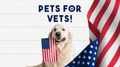 Service Pet for a Vet!