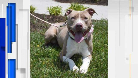 A sure-fire way to bring good Karma into your home