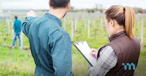 Trends Redefining the Food and Beverage Industry