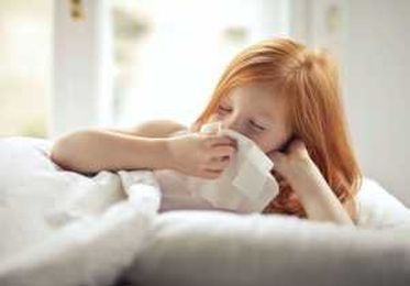 How Can I Get Better Indoor Air Quality This Fall?