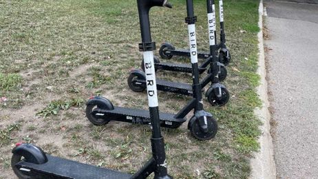 Looking for a fun way to explore Freeport? Try taking a ride on a Bird