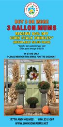 🌻 Shop Mums and Save on Corn Stalks at Johnson Farms! 🎃