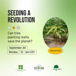 Seeding a revolution: Can tree planting really save the planet?