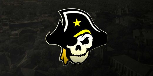 A Treasury of Pirate Facts