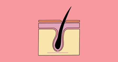 This is the Journey of a Hair Follicle During Laser Hair Removal