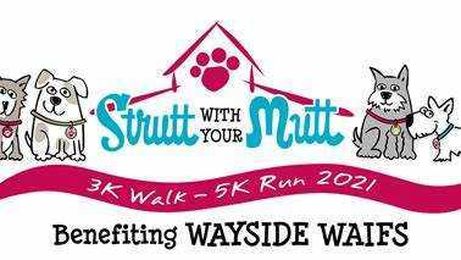 It's Time to Strutt With Your Mutt