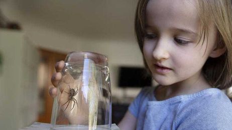 Spider Bites 101: Symptoms, Treatment & When To Get Help