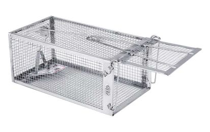 Effective no-kill rat trap