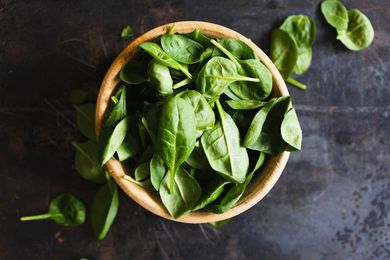 Natural compound in basil may protect against Alzheimer's disease pathology