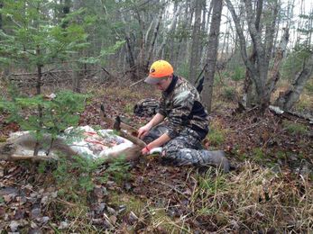 How To Field Dress A Deer