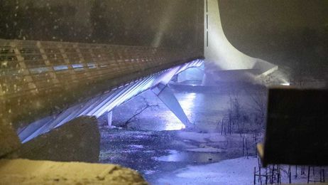 Know how much frost your trees can handle, need