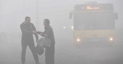 Why is male fertility declining? 5 environmental toxins may explain