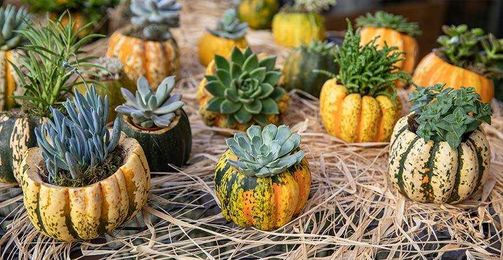How to Make a Pumpkin Planter