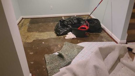 Do this immediately after water damage