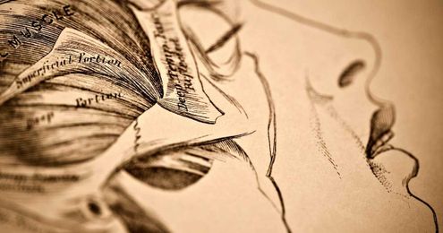 Sleep and psychiatric diagnoses: Scientists explain a complicated link