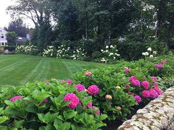 Landscaping enhances property values, but not without challenges