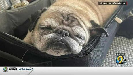 Bones or No Bones Day?