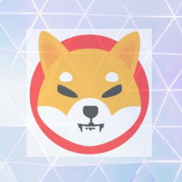 Six things to know about the Shiba Inu coin cryptocurrency