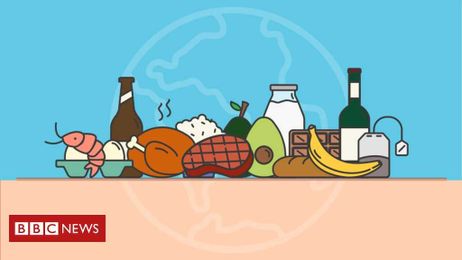 Climate change food calculator: What's your diet's carbon footprint?