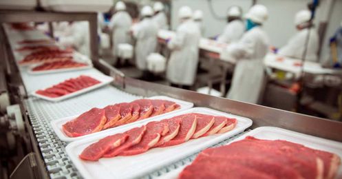 12 Simple Ways to Improve Conveyor Safety