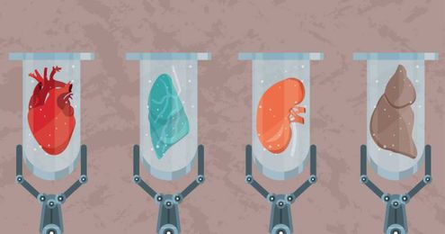 Blood, brains and burgers: The future is lab-grown everything