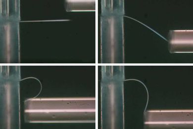 New kind of ice is so bendy it can curl and uncurl without breaking