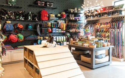 Copilot Dog Outfitters Will Make Your Pup a Top Dog