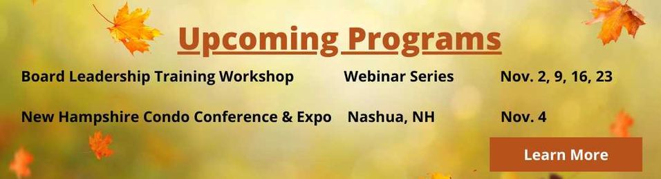 Association Management Issues / Guide to Management Services