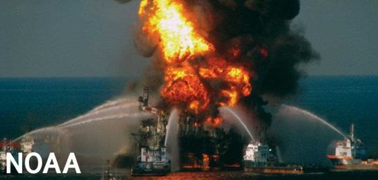 How To Delegitimize Fossil Fuel Companies? Divest!