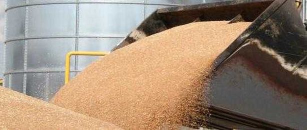 Know the hazards: Handle grain properly