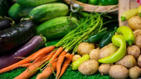 Master Gardener: The ins and outs of going organic