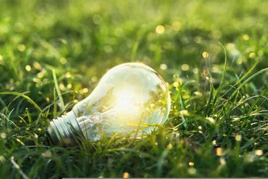 Regenerative investments better at tackling carbon emissions