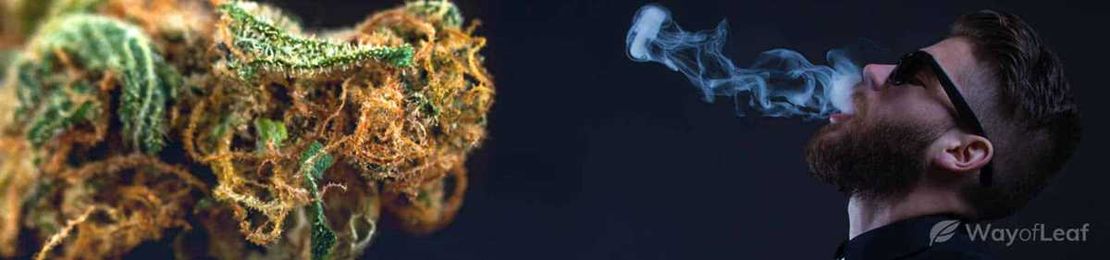 Weed and Relaxation: How to Combine for Better Balance