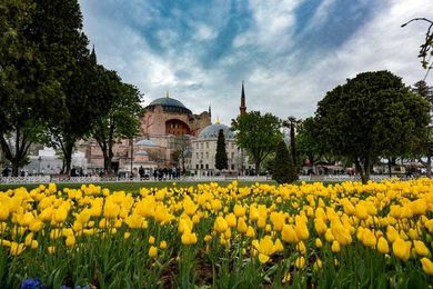 Great Local Free Museums You May Forgot About