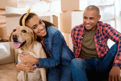 How To Decide Who Gets the Pets in a Divorce