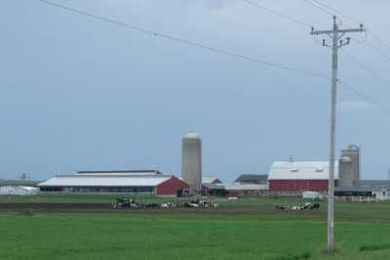 Dairy Farmers Use Midland Two-Way Radios To Keep Things "Mooving"