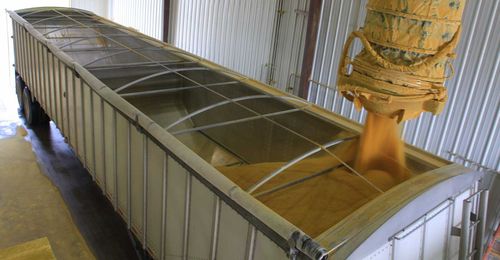 Pros, cons of distillers grains as winter cattle supplement