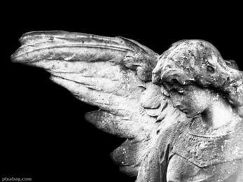 5 Reasons Why You’re Seeing Angel Signs 