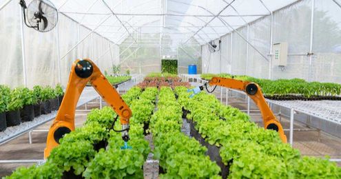 How vertical and indoor farming can supplement the food supply chain