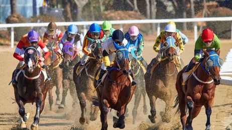 Do you have a taste for testing?