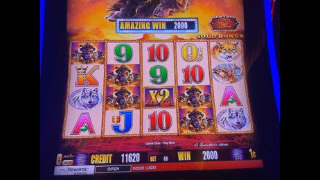 How to Play Buffalo Gold Collection